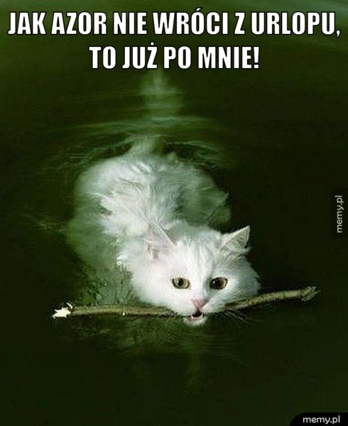 Jak Azor nie wróci z urlopu, to już po mnie!  
