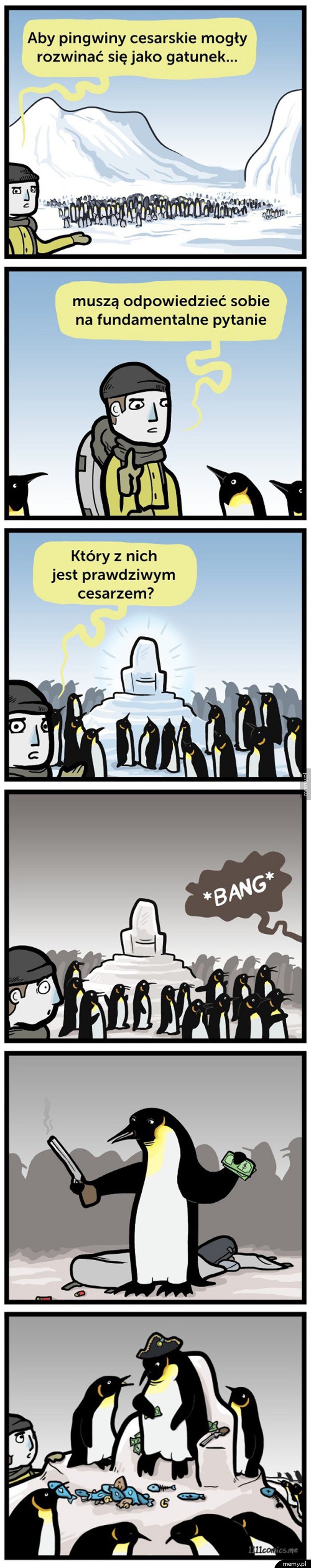 Prawda o pingwinach