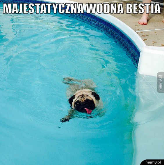 Wodna bestia.  