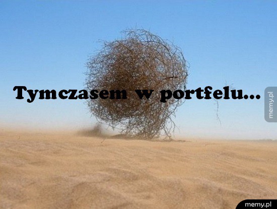 Tymczasem