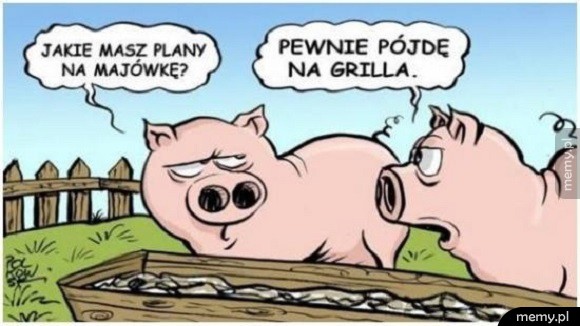 Plany na majówkę