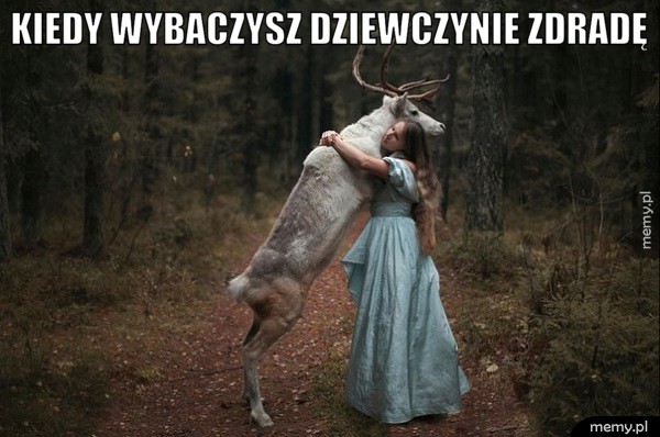 Rogacz