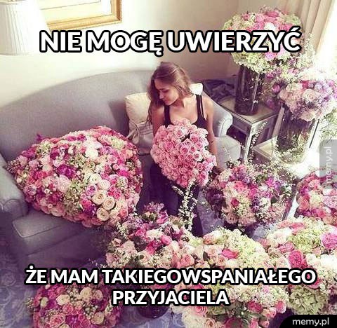 Friendzone