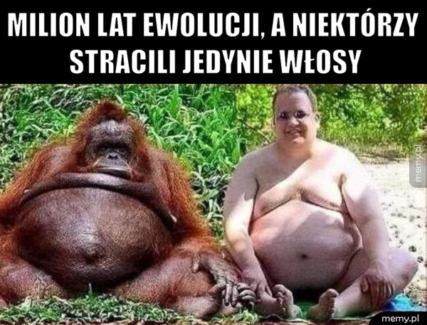                        Ewolucja 
