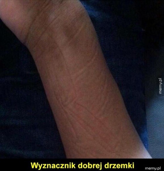 Dobra drzemka