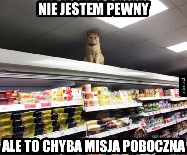 Raczej tak