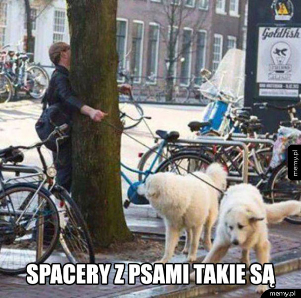 Prawdziwy relaks