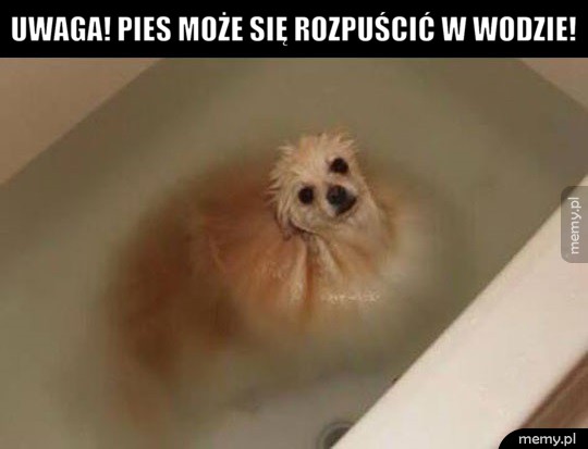Uwaga!                              