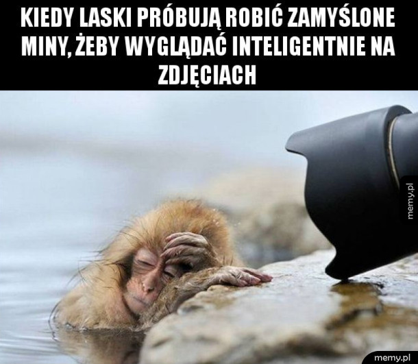 Zdjęcia
