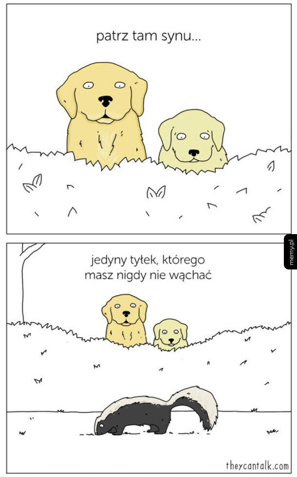Psie rady